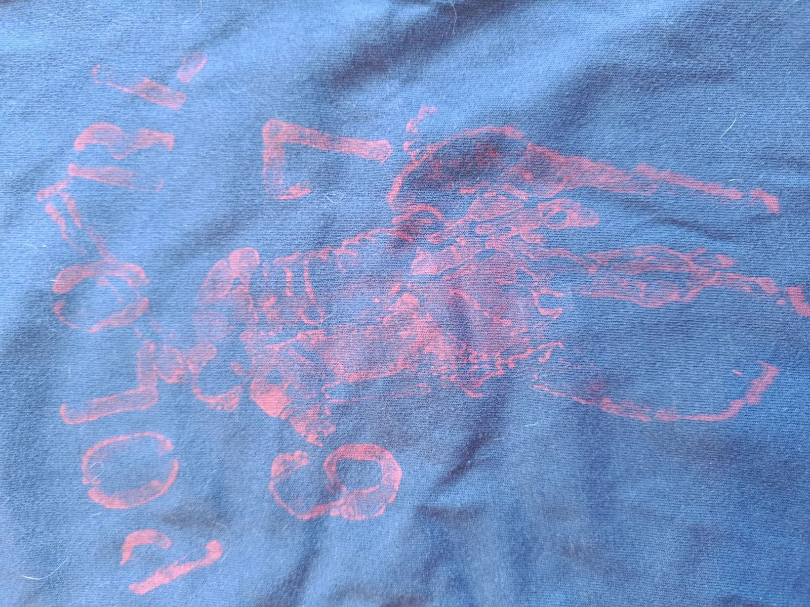 Polo Ralph Lauren - 3 anos – photo 2